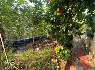 Residential House Villa for Sale in Ernakulam, Kochi, Elamkunnapuzha, Perumpilly