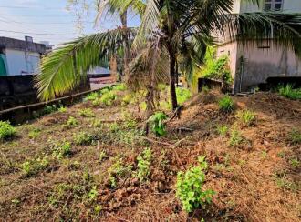 Commercial Land for Sale in Kollam, Punalur, Elampal, Opposite Fedaral bank