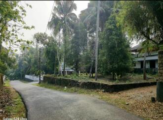 Residential Land for Sale in Ernakulam, Angamaly, Karukutty, Karukutty Parappuram
