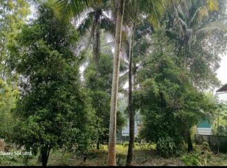 Residential Land for Sale in Ernakulam, Angamaly, Karukutty, Karukutty Parappuram