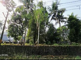Residential Land for Sale in Ernakulam, Angamaly, Karukutty, Karukutty Parappuram