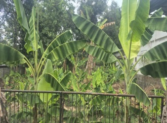 Residential Land for Sale in Ernakulam, Perumbavoor, Kanjirakkad