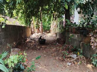 Residential Land for Sale in Palakkad, Pattambi, Pattambi, https://www.google.com/maps?q=10.81081081081081,76.18089672817611&z=17&hl=en