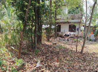 Residential Land for Sale in Palakkad, Pattambi, Pattambi, https://www.google.com/maps?q=10.81081081081081,76.18089672817611&z=17&hl=en
