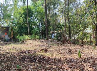 Residential Land for Sale in Palakkad, Pattambi, Pattambi, https://www.google.com/maps?q=10.81081081081081,76.18089672817611&z=17&hl=en