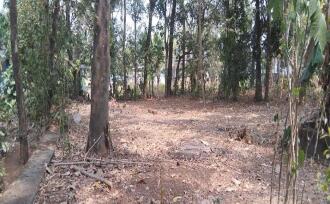 Residential Land for Sale in Palakkad, Pattambi, Pattambi, https://www.google.com/maps?q=10.81081081081081,76.18089672817611&z=17&hl=en