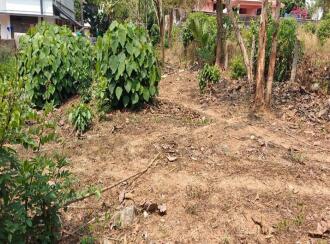 Residential Land for Sale in Palakkad, Ottappalam, Manisseri, https://www.google.com/maps/place/10%C2%B046'37.1%22N+76%C2%B020'27.2%22E/@10.7769759,76.3383007,17z/data=!3m1!4b1!4m4!3m3!8m2!3d10.7769759!4d76.3408756?hl=en&entry=ttu&g_ep=EgoyMDI2MDMwNC4xIKXMDSoASAFQAw%3D%3D