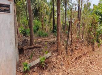 Residential Land for Sale in Palakkad, Ottappalam, Manisseri, https://www.google.com/maps/place/10%C2%B046'43.2%22N+76%C2%B020'44.6%22E/@10.7786653,76.3431369,17z/data=!3m1!4b1!4m4!3m3!8m2!3d10.7786653!4d76.3457118?hl=en&entry=ttu&g_ep=EgoyMDI2MDMwNC4xIKXMDSoASAFQAw%3D%3D