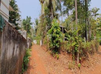 Residential Land for Sale in Palakkad, Ottappalam, Manisseri, https://www.google.com/maps/place/10%C2%B046'43.2%22N+76%C2%B020'44.6%22E/@10.7786653,76.3431369,17z/data=!3m1!4b1!4m4!3m3!8m2!3d10.7786653!4d76.3457118?hl=en&entry=ttu&g_ep=EgoyMDI2MDMwNC4xIKXMDSoASAFQAw%3D%3D