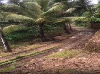 Residential Land for Sale in Pathanamthitta, Adoor, Ezhamkulam, Thoduvakkadu