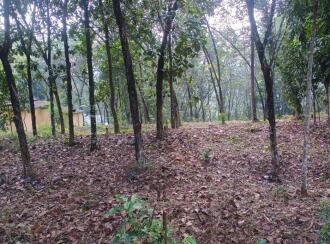 Residential Land for Sale in Alleppey, Chengannur, Mulakuzha, KALARITHRA WATER TANK