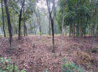 Residential Land for Sale in Alleppey, Chengannur, Mulakuzha, KALARITHRA WATER TANK