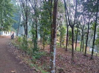 Residential Land for Sale in Alleppey, Chengannur, Mulakuzha, KALARITHRA WATER TANK