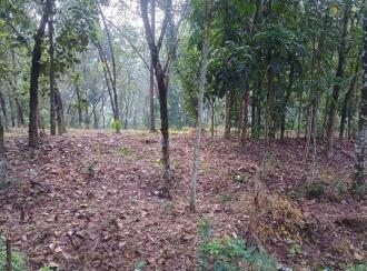 Residential Land for Sale in Alleppey, Chengannur, Mulakuzha, KALARITHRA WATER TANK