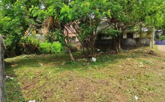 Residential Land for Sale in Palakkad, Palakkad, Olavakkode, ESI Hospital