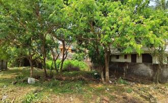 Residential Land for Sale in Palakkad, Palakkad, Olavakkode, ESI Hospital
