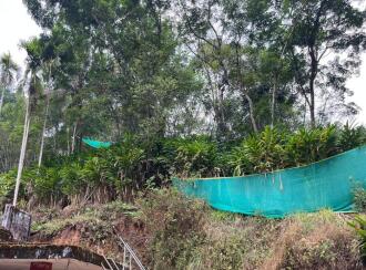 Residential House Villa for Sale in Idukki, Munnar, Munnar, Ambazhachal junction