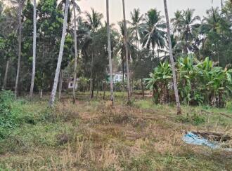 Residential Land for Sale in Kannur, Thalassery, Kodiyeri, Muzhikkara - Malabar Cancer Centre, Thalassery