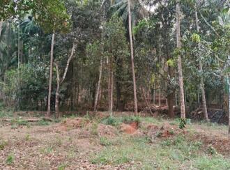 Residential Land for Sale in Kannur, Thalassery, Kodiyeri, Muzhikkara - Malabar Cancer Centre, Thalassery
