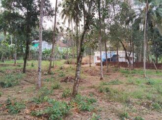 Residential Land for Sale in Kannur, Thalassery, Kodiyeri, Muzhikkara - Malabar Cancer Centre, Thalassery