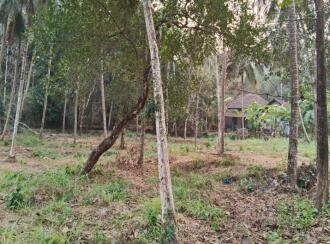 Residential Land for Sale in Kannur, Thalassery, Kodiyeri, Muzhikkara - Malabar Cancer Centre, Thalassery