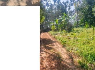 Residential Land for Sale in Wayanad, Sulthan bathery, Sultan Bathery, Aarmadkunnu