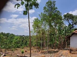 Residential Land for Sale in Kollam, Kottarakkara, Pulamon , Near Brotheren Assembly Hall, Pulamon, Kollam