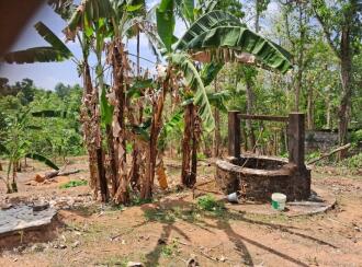 Residential Land for Sale in Kollam, Kottarakkara, Pulamon , Near Brotheren Assembly Hall, Pulamon, Kollam