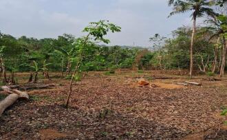 Residential Land for Sale in Kollam, Kottarakkara, Pulamon , Near Brotheren Assembly Hall, Pulamon, Kollam