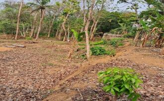 Residential Land for Sale in Kollam, Kottarakkara, Pulamon , Near Brotheren Assembly Hall, Pulamon, Kollam