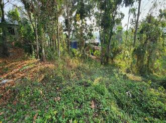 Residential Land for Sale in Kottayam, Kottayam town, Nattassery, Near Sarvodayam Gandhi Smaraka Memmorial , Nattssery, Kottayam