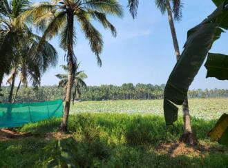 Residential Land for Sale in Trivandrum, Thiruvananthapuram, Koliyoor, Koliyoor Bus stand