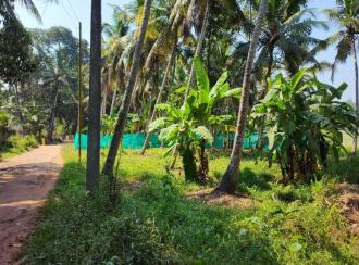 Residential Land for Sale in Trivandrum, Thiruvananthapuram, Koliyoor, Koliyoor Bus stand