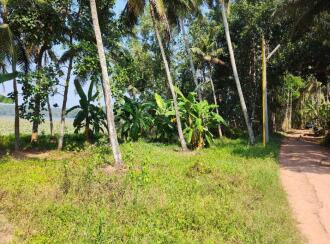 Residential Land for Sale in Trivandrum, Thiruvananthapuram, Koliyoor, Koliyoor Bus stand