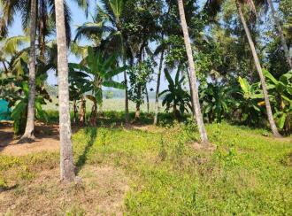 Residential Land for Sale in Trivandrum, Thiruvananthapuram, Koliyoor, Koliyoor Bus stand