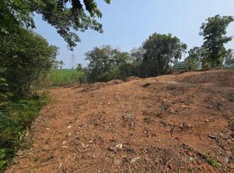 Residential Land for Sale in Ernakulam, Piravom, Thirumarayoor, Thirumarayoor