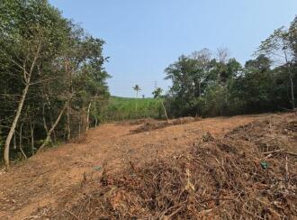 Residential Land for Sale in Ernakulam, Piravom, Thirumarayoor, Thirumarayoor