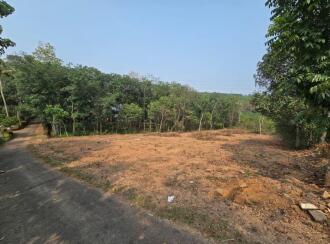 Residential Land for Sale in Ernakulam, Piravom, Thirumarayoor, Thirumarayoor