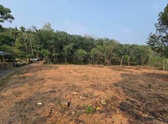 Residential Land for Sale in Ernakulam, Piravom, Thirumarayoor, Thirumarayoor