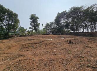 Residential Land for Sale in Ernakulam, Piravom, Thirumarayoor, Thirumarayoor