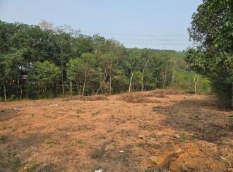 Residential Land for Sale in Ernakulam, Piravom, Thirumarayoor, Thirumarayoor