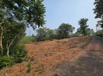 Residential Land for Sale in Ernakulam, Piravom, Thirumarayoor, Thirumarayoor