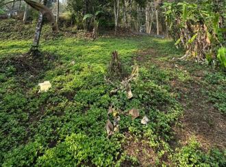 Residential Land for Sale in Ernakulam, Muvattupuzha, Thrikkalathoor