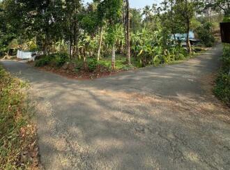 Residential Land for Sale in Ernakulam, Muvattupuzha, Thrikkalathoor