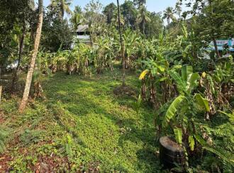 Residential Land for Sale in Ernakulam, Muvattupuzha, Thrikkalathoor