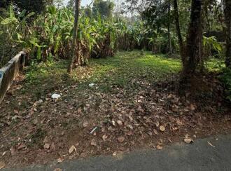 Residential Land for Sale in Ernakulam, Muvattupuzha, Thrikkalathoor