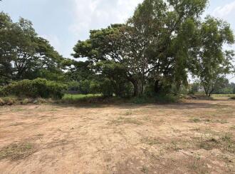 Residential Land for Sale in Thrissur, Thrissur, Punkunnam, Ram Nagar