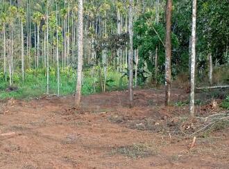 Residential Land for Sale in Wayanad, Sulthan bathery, Sultan Bathery, Poothadi