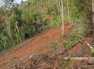 Residential Land for Sale in Wayanad, Sulthan bathery, Sultan Bathery, Poothadi