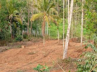 Residential Land for Sale in Wayanad, Sulthan bathery, Sultan Bathery, Poothadi
